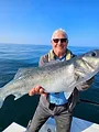 Ambassadeur de la pêche en mer