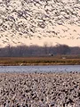 Destination Wild : USA