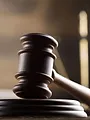 Profession Criminel