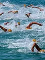 Triathlon : World Triathlon Championship Series
