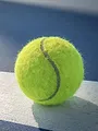 Tennis : Tournoi WTA de Memphis
