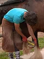 Au galop ! Une saison à cheval