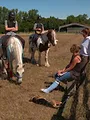 Au galop ! Une saison à cheval