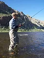 River Monsters