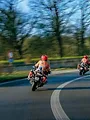 Alloo bij de Wegpolitie