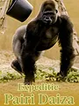 Expédition Pairi Daiza