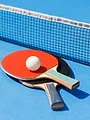 Tennis de table : WTT China Smash