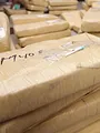 Tygo in de flakka