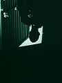 Les signes du mal