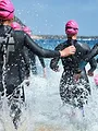Triathlon : World Triathlon Championship Series