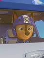 Paw Patrol S11 E11