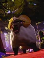 100% Wolf S1 E17