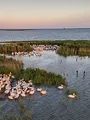 Danube : la guerre sur l'autre rive