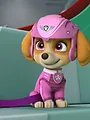Paw Patrol S5 E23