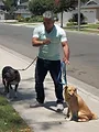 SOS Cesar