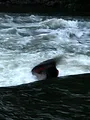 Alpine Freestyle Kayaking