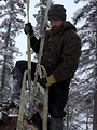 Alaska : nouvelle vie