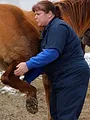 L'incroyable Dr Pol