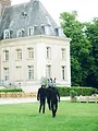 Les cinquante