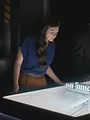 Disaster Autopsy