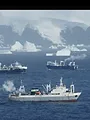 Kill Krill - Des baleines privées de nourriture