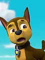 Paw Patrol S2 E6