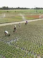Le jardinage, ça ratisse large !