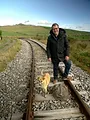 Des trains pas comme les autres