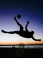 FootVolley : Coupe du monde