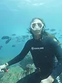 Océania les gardiens de l'océan