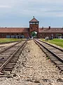 Auschwitz : en mémoire des champions
