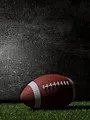 Mississippi State Bulldogs / Alabama