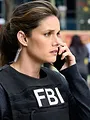 FBI S4 E8