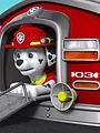 Pat' Patrouille S4 E14