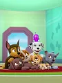 Paw Patrol S3 E19