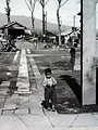 Le Japon sous les décombres
