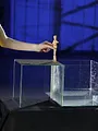 Science of Stupid