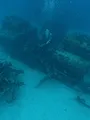 Trésors sous les mers