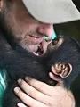 A l'école des chimpanzés