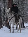 Seuls face à l'Alaska