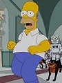 Die Simpsons S23 E17