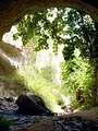 Paranormal Videos