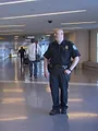 Douanes sous haute surveillance: Etats-Unis