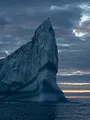 Les îles, laboratoires de la nature