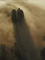 Wilde Schweiz: Waadtländer Jura