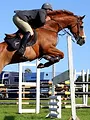 Saut d'obstacles