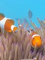 Les animaux guérisseurs