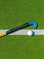 Hockey sur gazon : Carlsberg 0.0 Hockey League