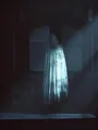 Paranormal Videos