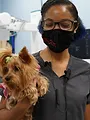 Critter Fixers : Vétos de choc